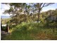 Copacabana NSW 2251