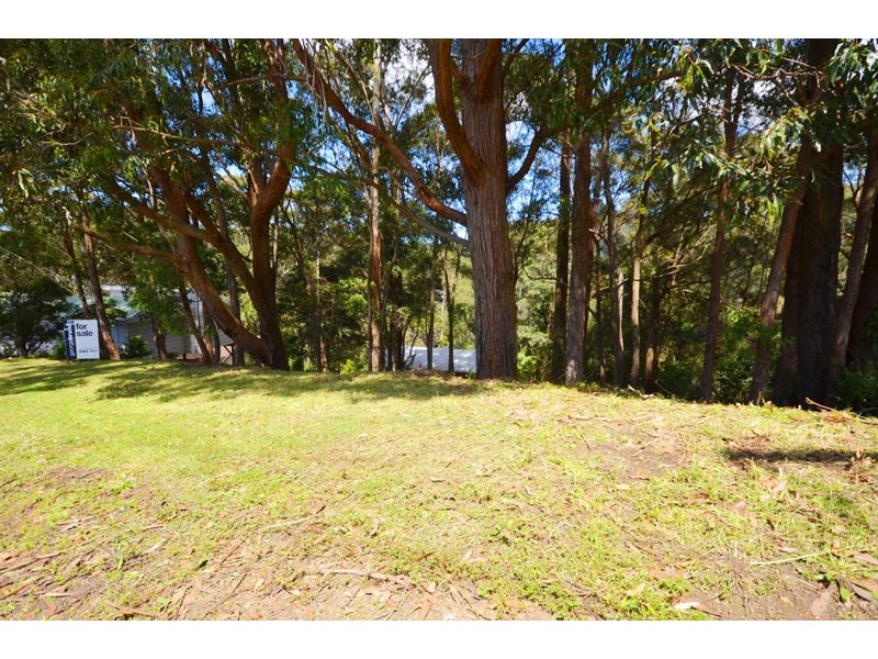 Avoca Beach NSW 2251