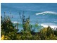 Avoca Beach NSW 2251
