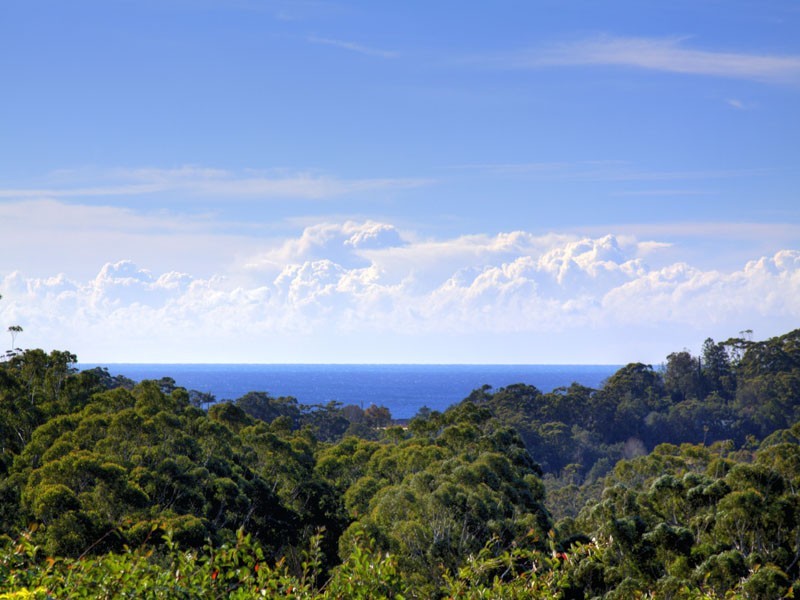 Avoca Beach NSW 2251