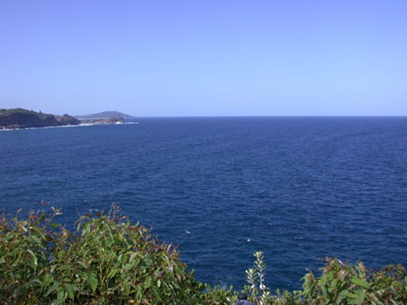 30a Avoca Drive, Avoca Beach NSW 2251