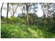 13 Parrendi Close, Avoca Beach NSW 2251