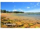 Avoca Beach NSW 2251
