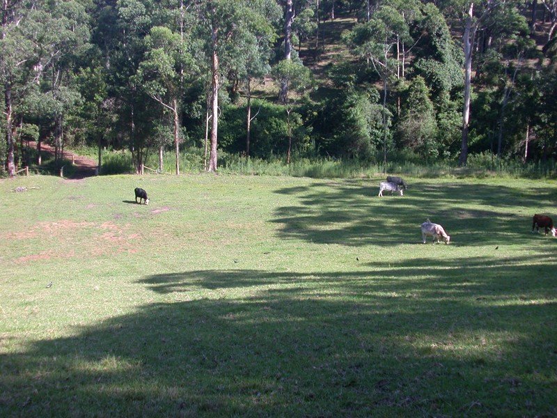 Copacabana NSW 2251