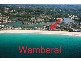 Wamberal NSW 2260