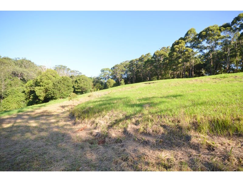 10 Hillside Road, Avoca Beach NSW 2251