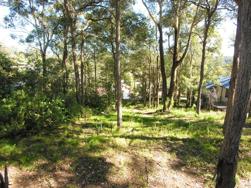 Avoca Beach NSW 2251