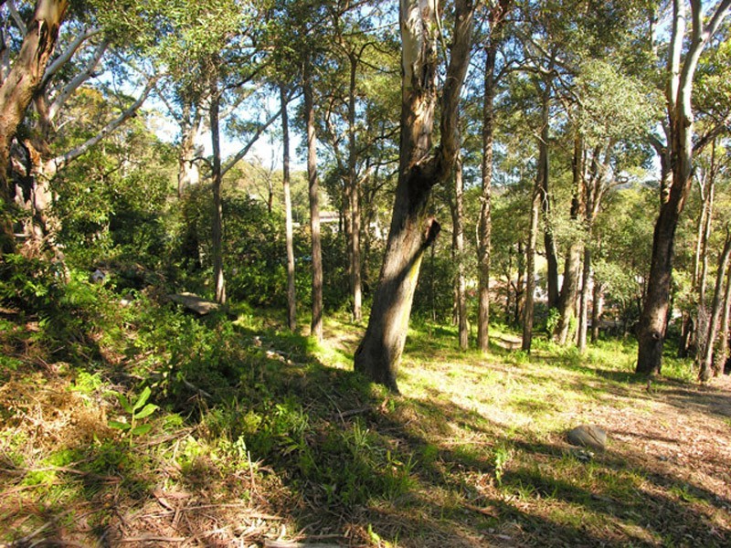 Avoca Beach NSW 2251