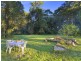 636 The Scenic Road, Macmasters Beach NSW 2251