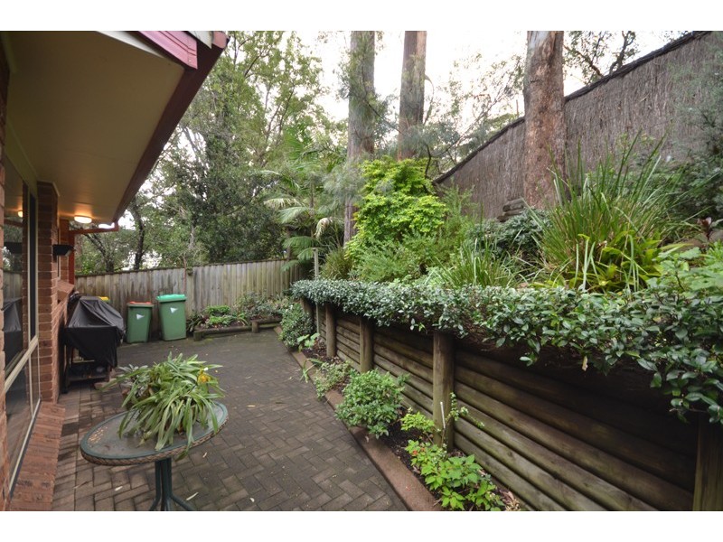 Avoca Beach NSW 2251