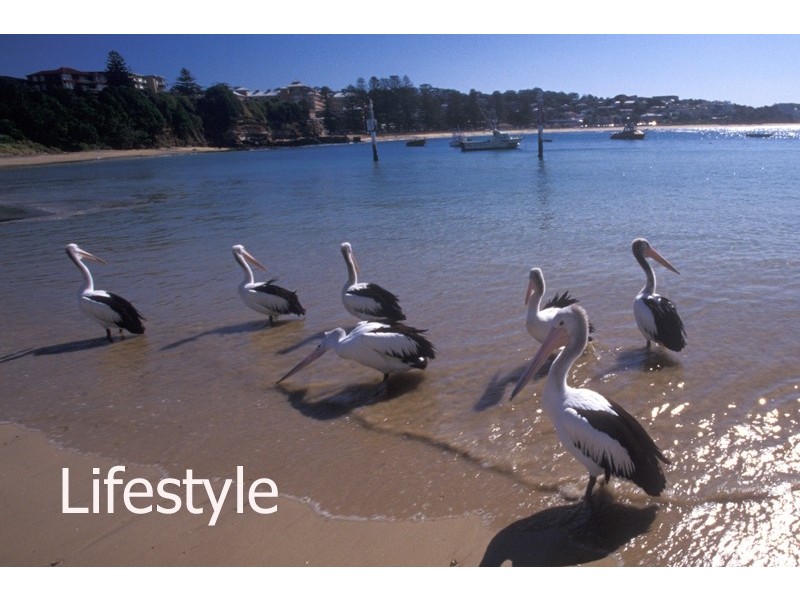 Terrigal NSW 2260
