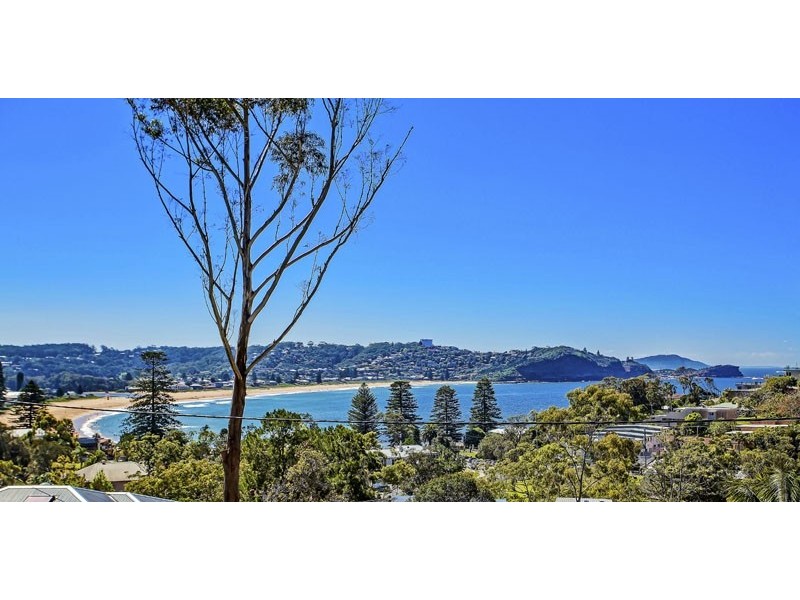39 Ascot Ave, Avoca Beach NSW 2251