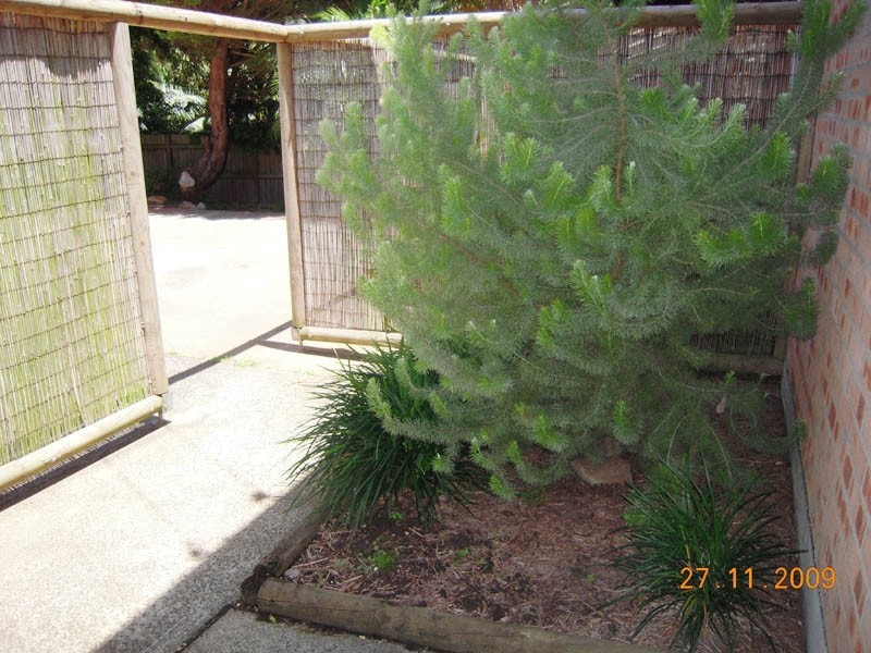 1/20 Warwilla Ave, Copacabana NSW 2251