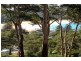 43  Arden Avenue, Avoca Beach NSW 2251