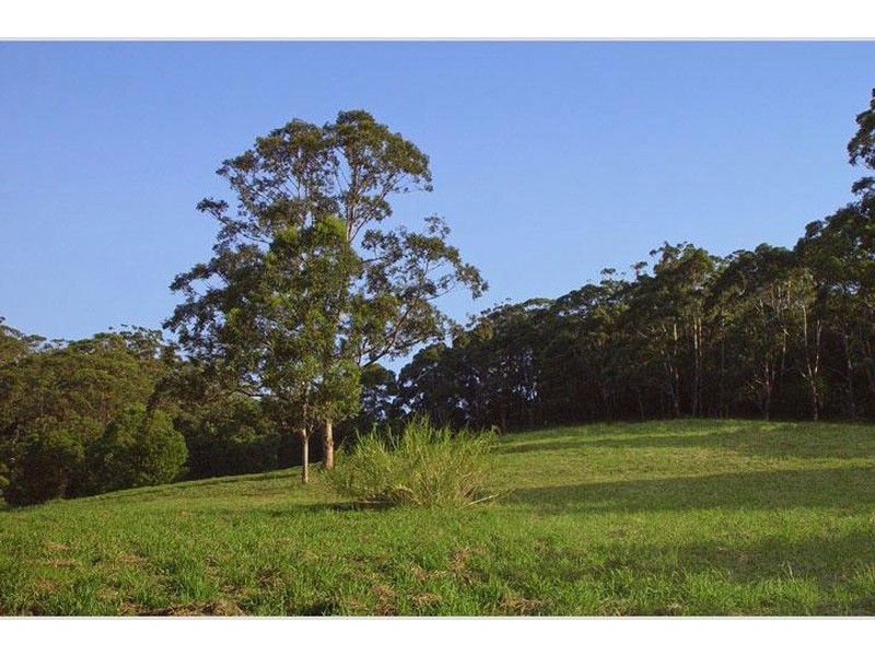 Avoca Beach NSW 2251