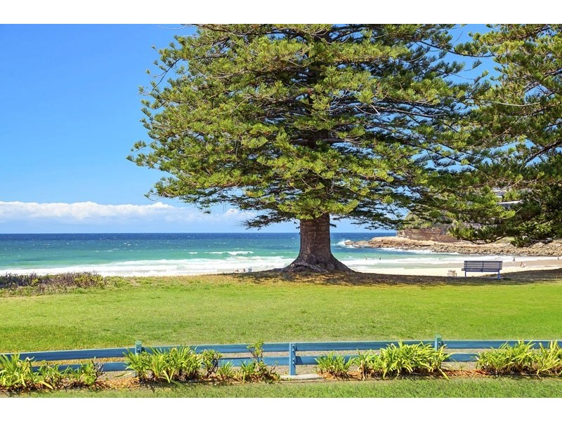 Avoca Beach NSW 2251
