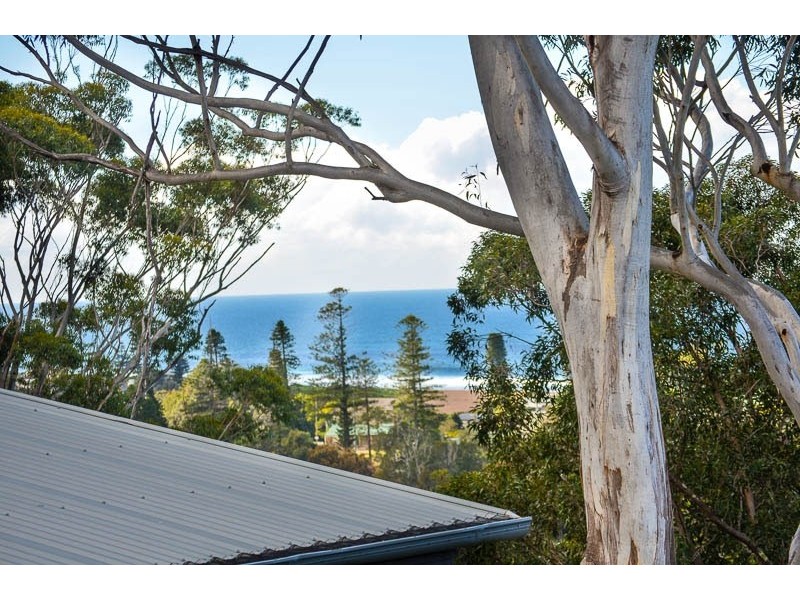 Avoca Beach NSW 2251