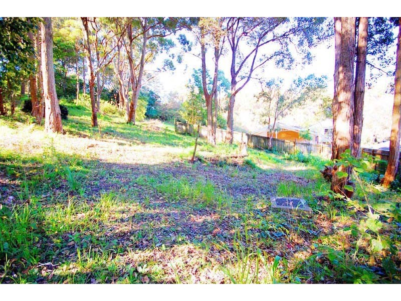 Avoca Beach NSW 2251