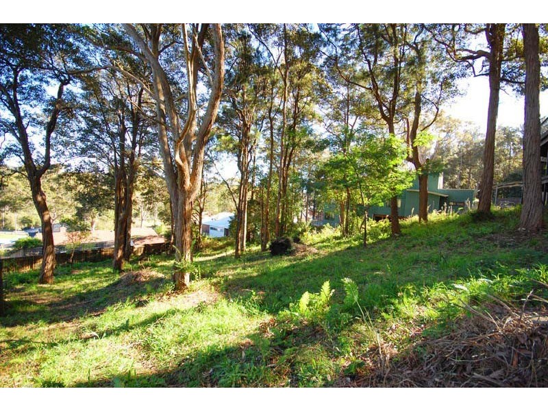 Avoca Beach NSW 2251