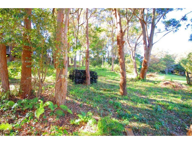 Avoca Beach NSW 2251