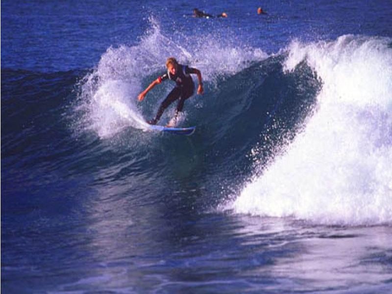 Avoca Beach NSW 2251