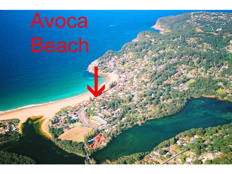 5/145 Avoca Dr, Avoca Beach NSW 2251
