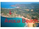 Avoca Beach NSW 2251