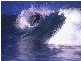 Avoca Beach NSW 2251