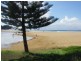 Avoca Beach NSW 2251