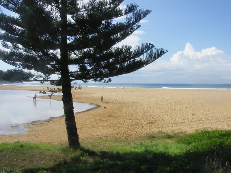 Avoca Beach NSW 2251