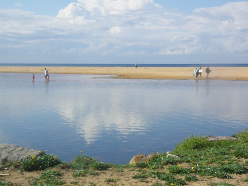 Avoca Beach NSW 2251