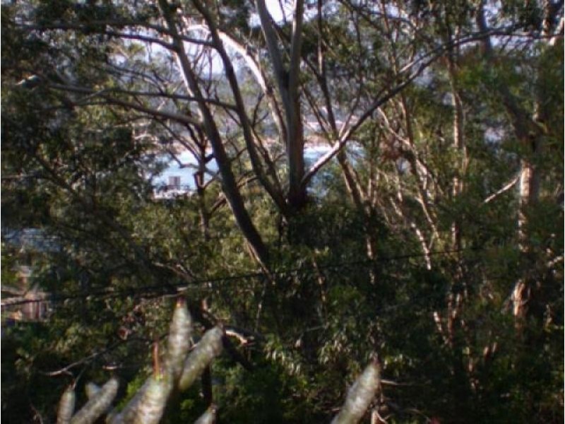 Avoca Beach NSW 2251