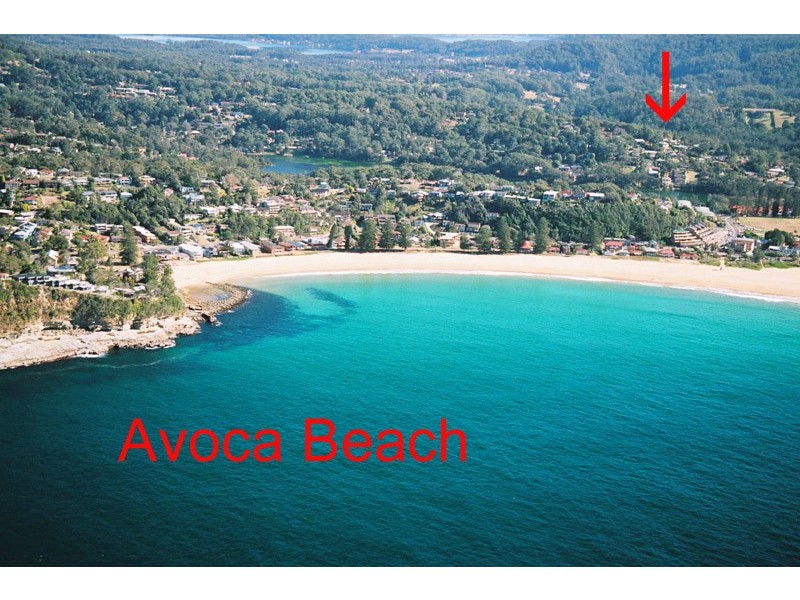 164 Hillside Road, Avoca Beach NSW 2251