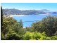 Avoca Beach NSW 2251