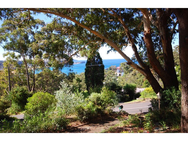 Avoca Beach NSW 2251