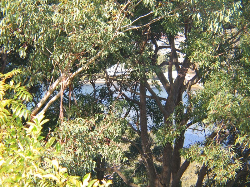 Horsfield Bay NSW 2256