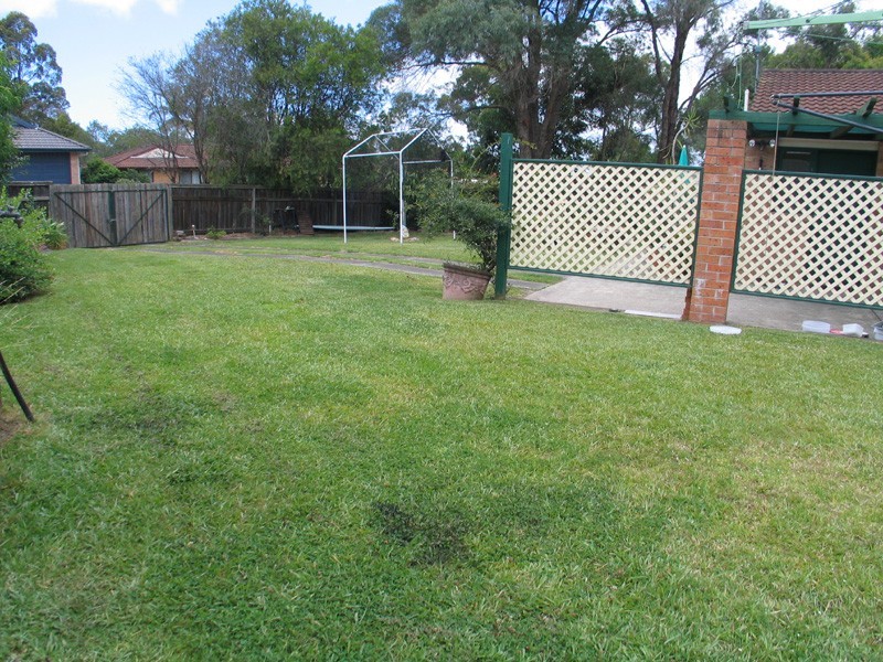 Kariong NSW 2250