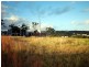 Somersby NSW 2250