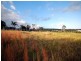 Somersby NSW 2250