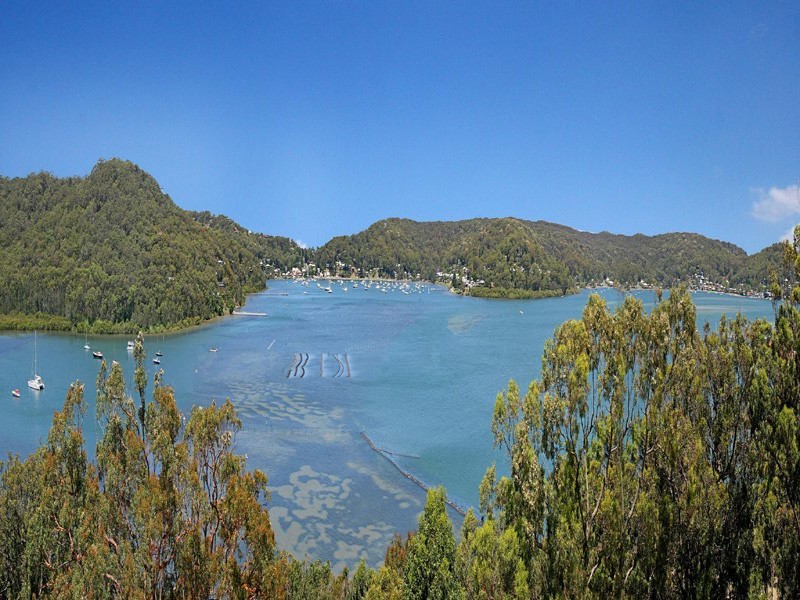 Daleys Point NSW 2257