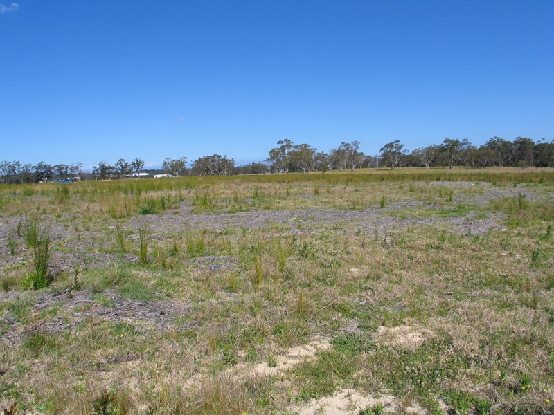 Somersby NSW 2250