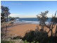 Terrigal NSW 2260