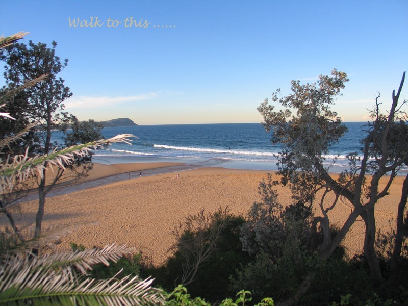 Terrigal NSW 2260
