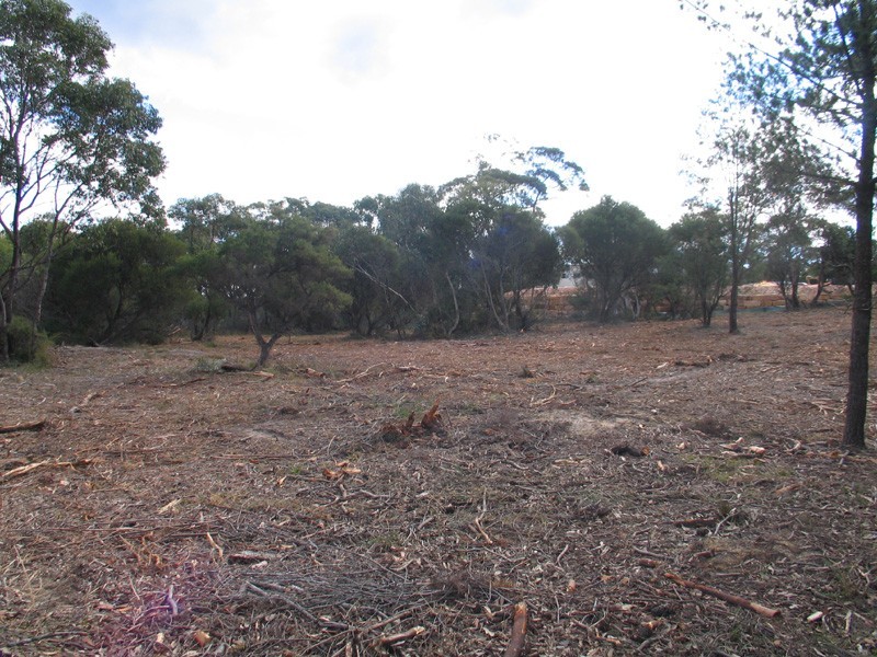 Somersby NSW 2250
