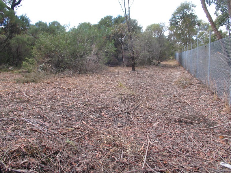 Somersby NSW 2250