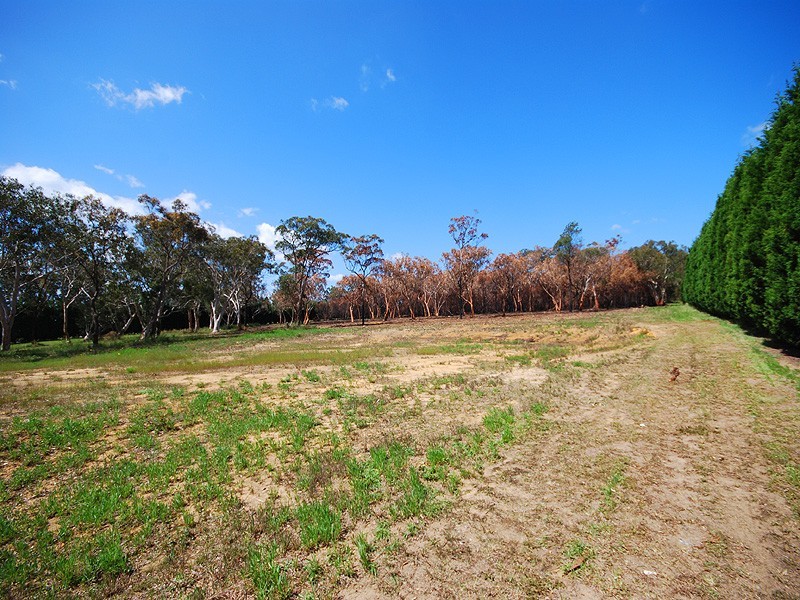 Peats Ridge NSW 2250