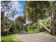 170 Yarramalong Road, Wyong Creek NSW 2259