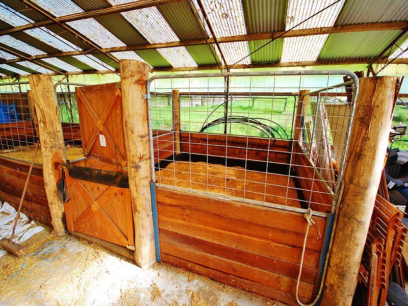 2207 Peats Ridge Road, Calga NSW 2250