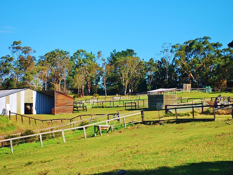 2207 Peats Ridge Road, Calga NSW 2250