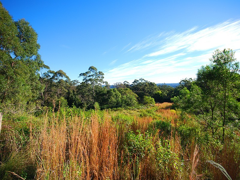 325 Brush Road, Ourimbah NSW 2258